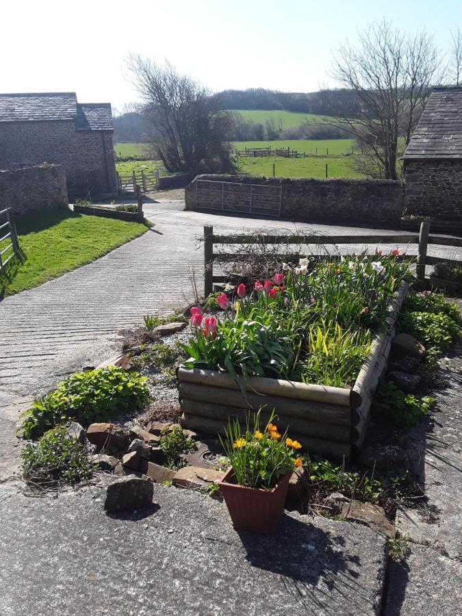 Sharlands Farm Bed And Breakfast Bude Luaran gambar